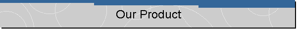 Our Product